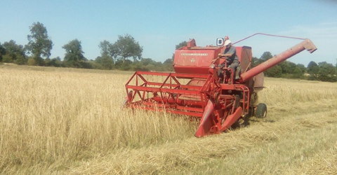 Ferme Les Bruyères