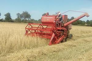 Semences paysannes ferme des Bruyères